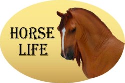 Horse Life