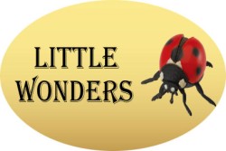 Little Wonders