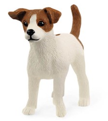 Jack Russell Terrier