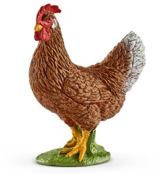 Hen