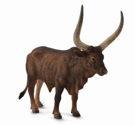 Ankole-Watusi Bull