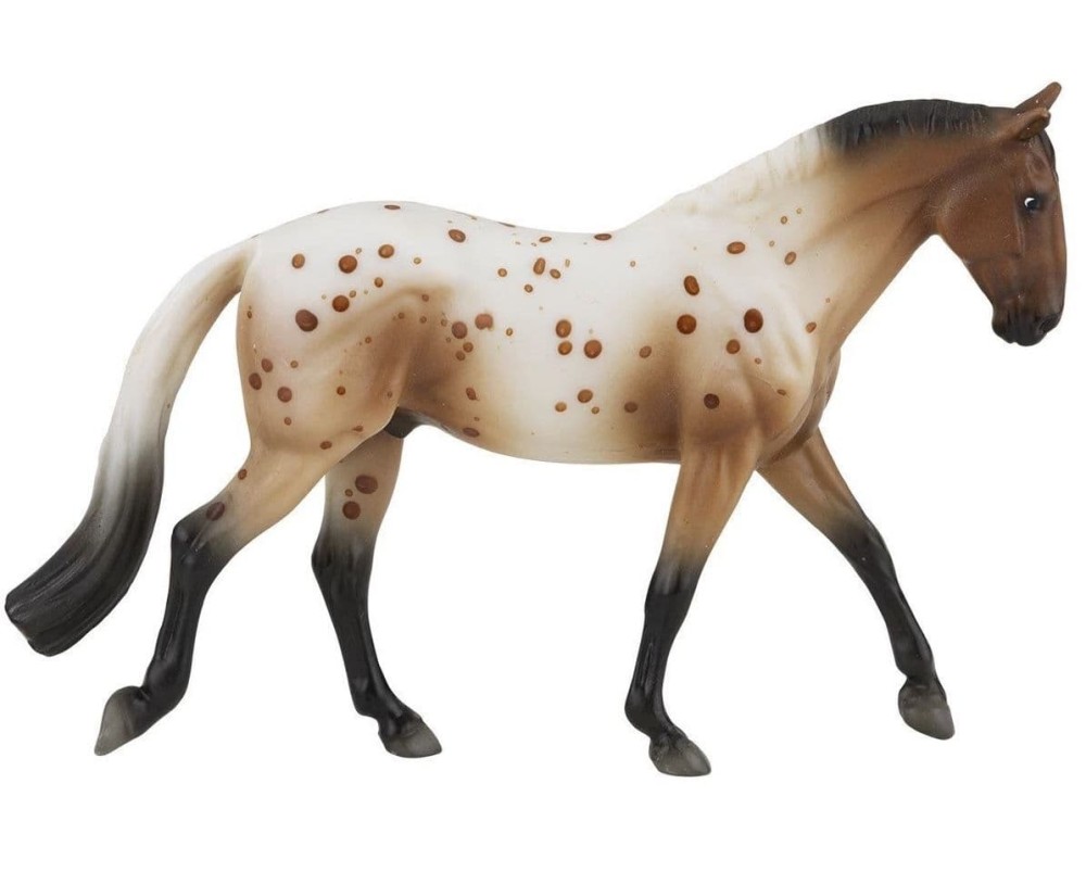 Appaloosa Sporthorse