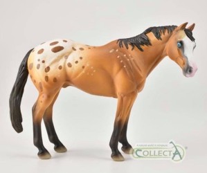 Appaloosa Stallion Light Brown