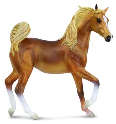 Arabian Mare Golden Chestnut