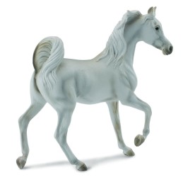 Arabian Mare Grey