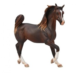 Arabian Mare Liver Chestnut