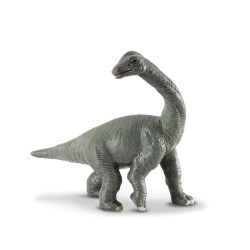 Baby Brachiosaurus