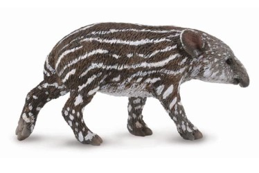 Baird'S Tapir Calf