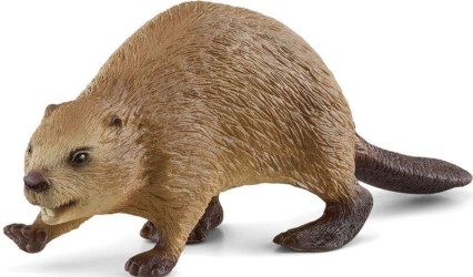 Beaver