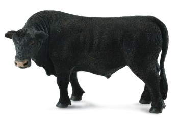 Black Angus Bull