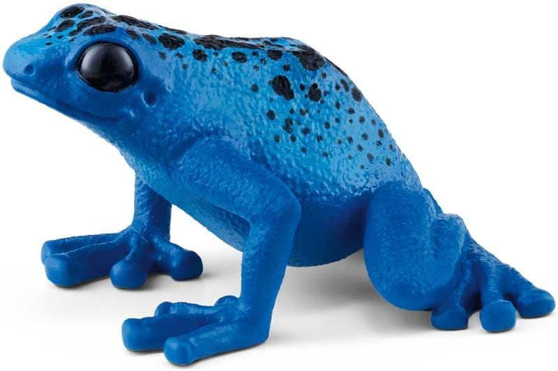 Blue Poison Dart Frog