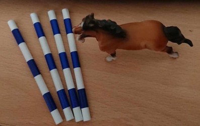 Blue Trotting Poles