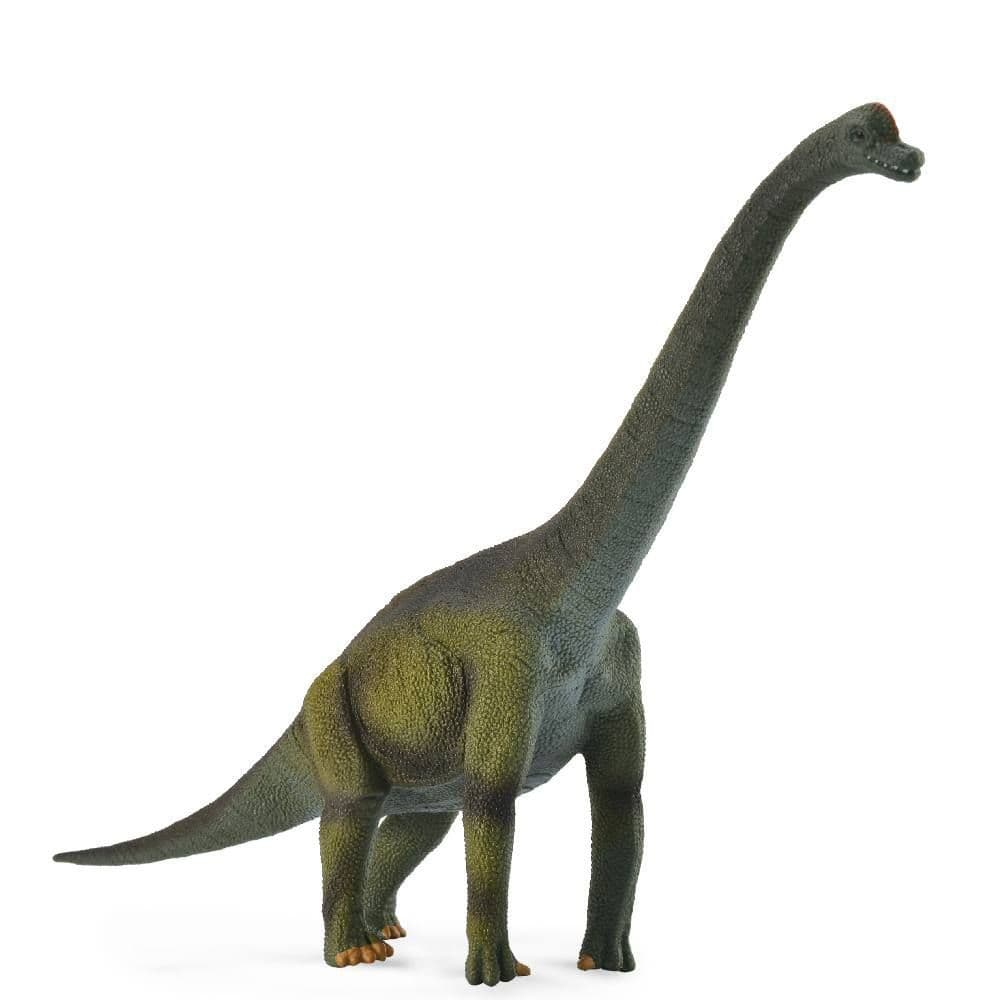 Brachiosaurus