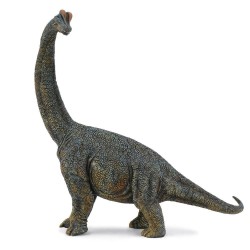 Brachiosaurus Deluxe 1:40 Scale