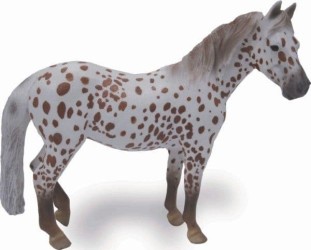 British Spotted Pony Mare