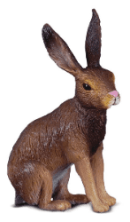 Brown Hare