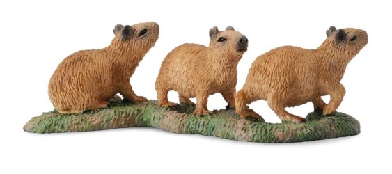 Capybara Babies