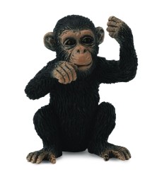 Chimpanzee Cub Thinking