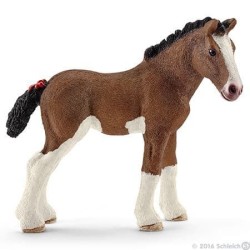 Clydesdale foal