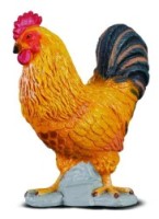 Cockerel