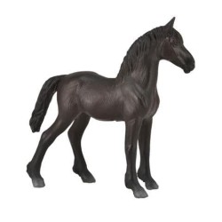 Friesian Foal - Black