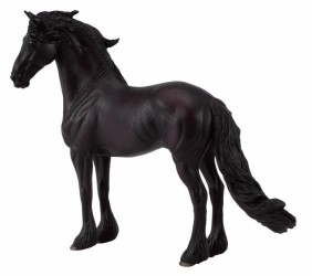 Friesian Stallion