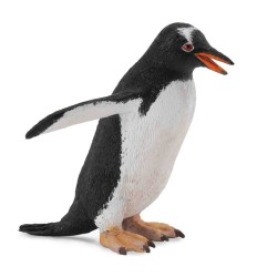 Gentoo Penguin