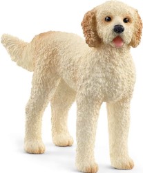 Goldendoodle