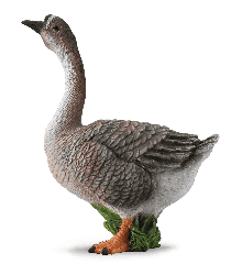 Goose