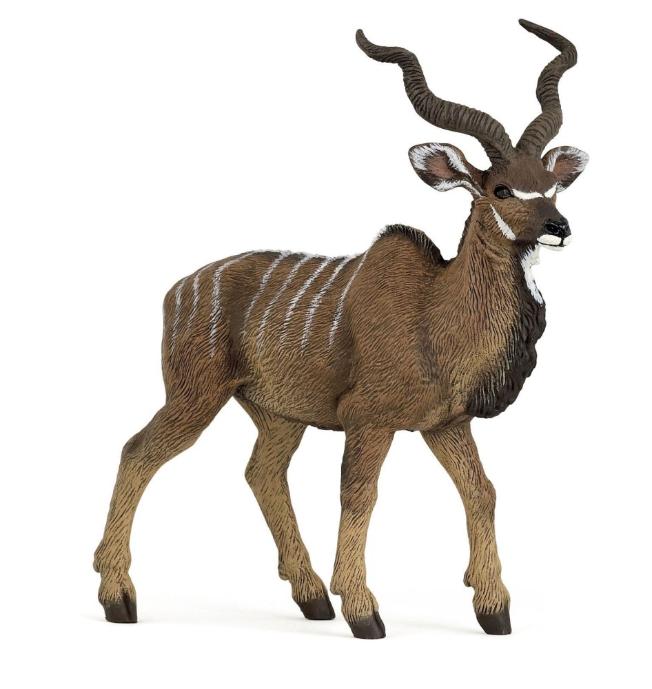 Greater Kudu