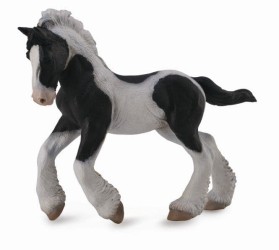 Gypsy Foal - Black & White Piebald