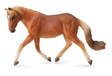 Haflinger Mare