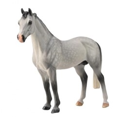 Hanoverian Stallion Dapple Grey