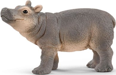 Hippopotamus Baby