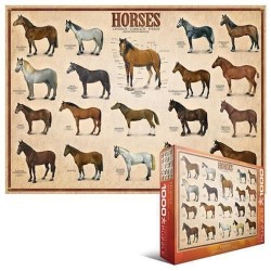 Horses