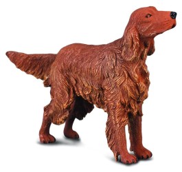 Irish Red Setter