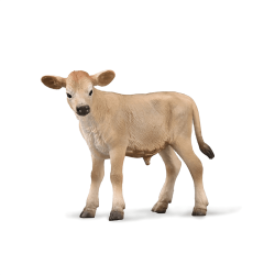 Jersey Calf