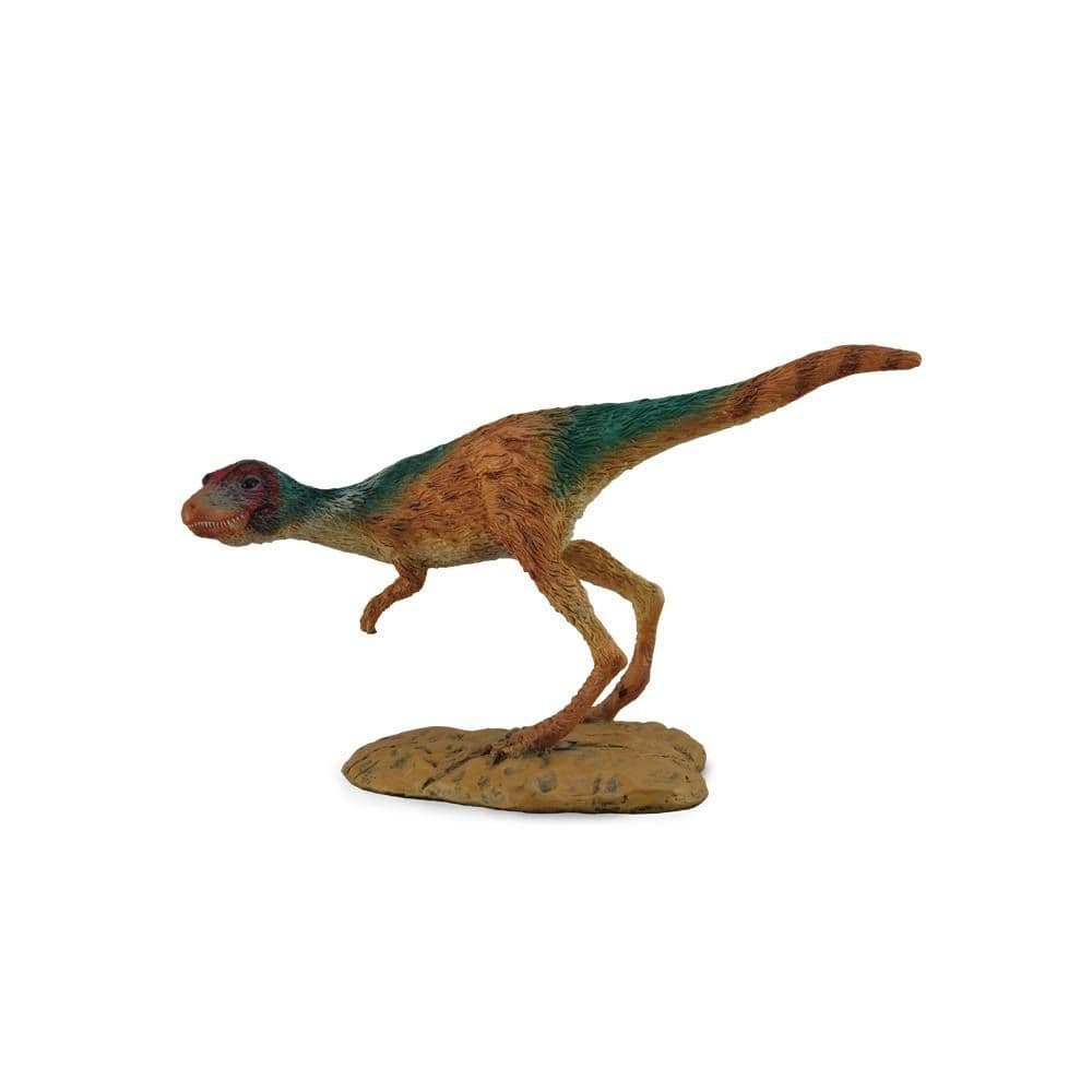 Juvenile Tyrannosaurus Rex