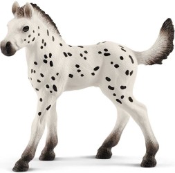 Knabstrupper Foal