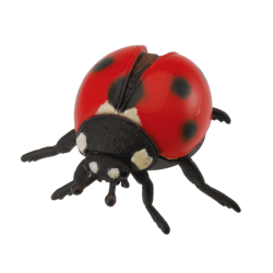 Ladybird