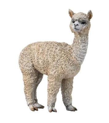 Alpaca