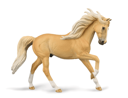 Andalusian Stallion - Palomino