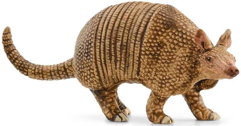 Armadillo