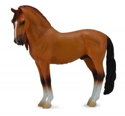 Campolina Stallion - Red Dun