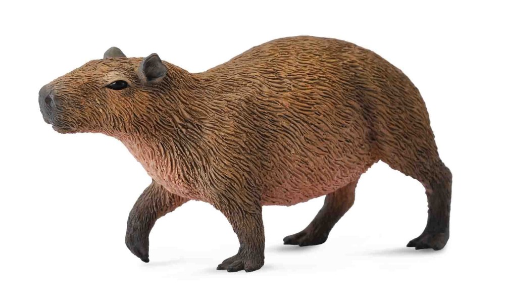 Capybara