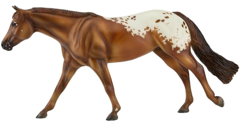 Chocolatey - Champion Appaloosa