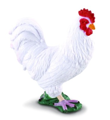 Cockerel  (White)