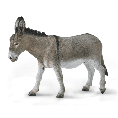 Donkey