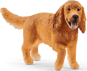 English Cocker Spaniel