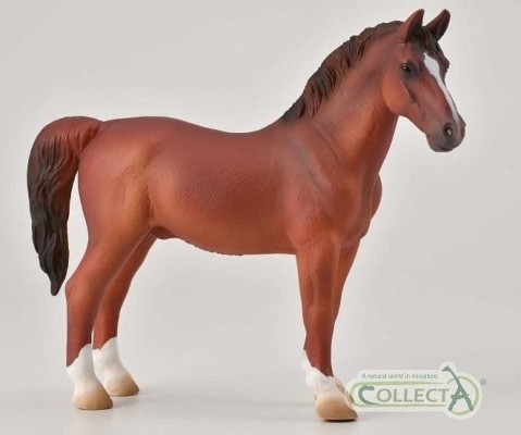 Hackney Stallion Chestnut